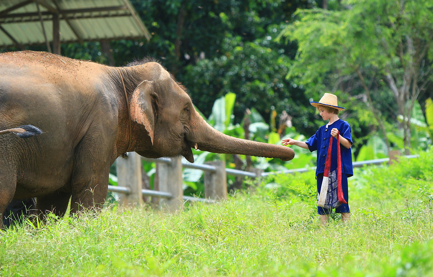 BAAN-CHANG-07 (1)